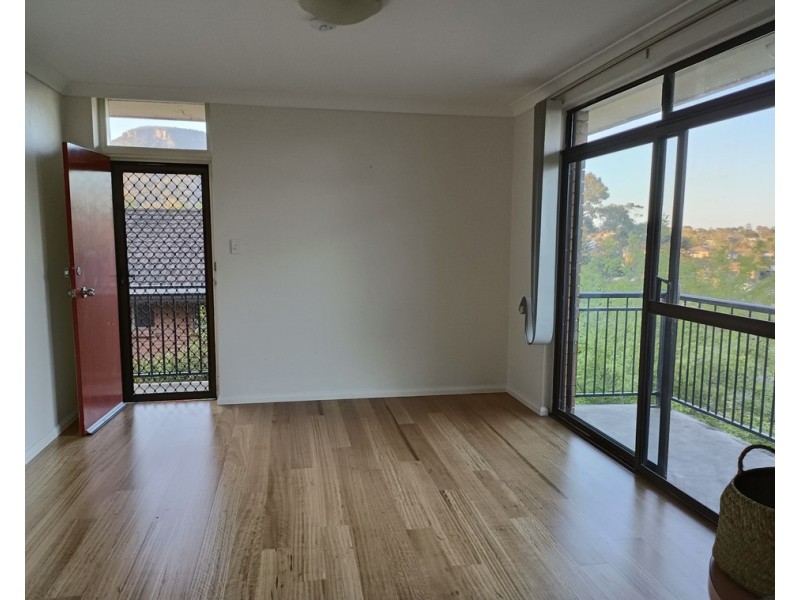 3/13 Zelang Avenue, Figtree NSW 2525