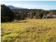 Dapto NSW 2530