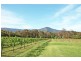 Bangalee NSW 2541