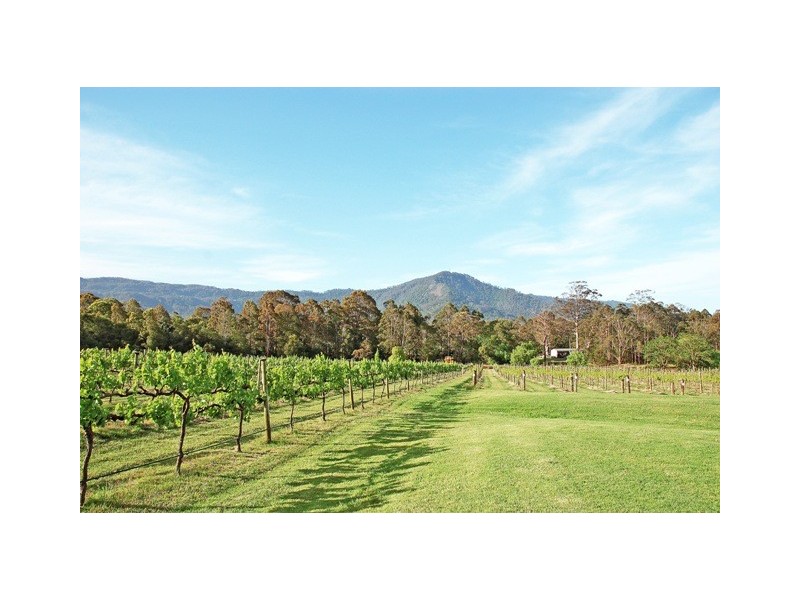 Bangalee NSW 2541