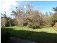 31 POINT STREET, Bulli NSW 2516
