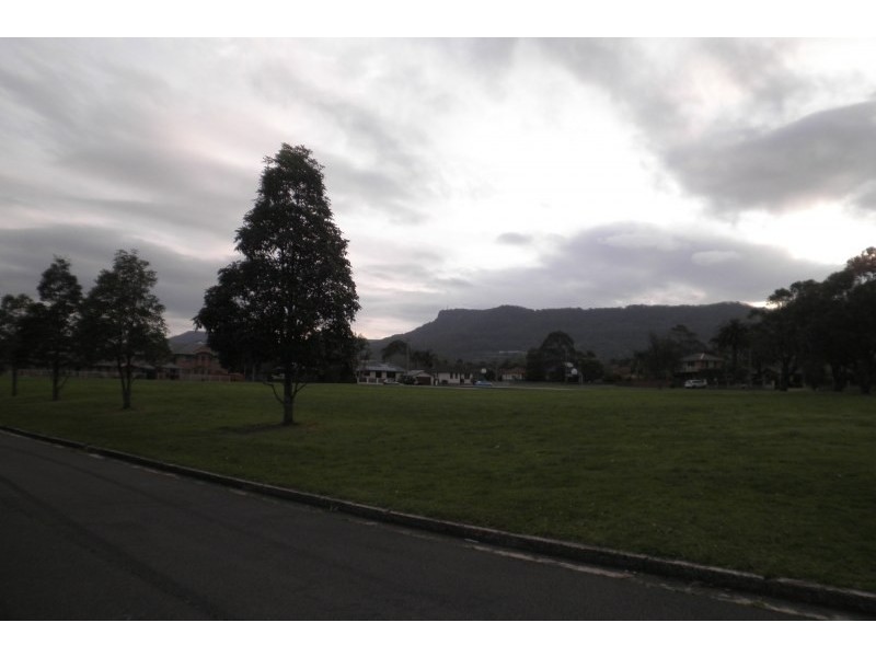 31 COTTERILL AVENUE, Woonona NSW 2517