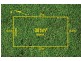 16 Wheat Avenue, Truganina VIC 3029