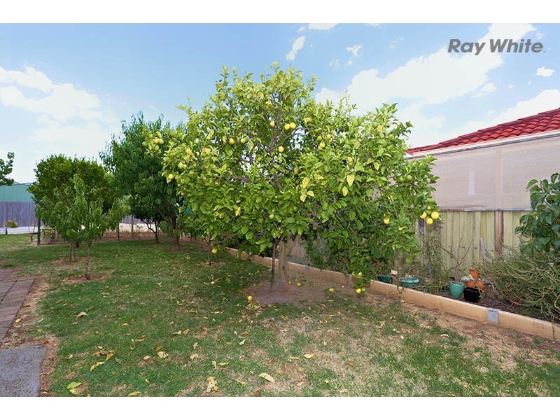 40 Saratoga Crescent, Keilor Downs VIC 3038