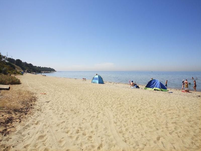 20 Cullinane Street, Black Rock VIC 3193