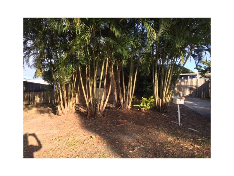 51 Napier Street, South Mackay QLD 4740