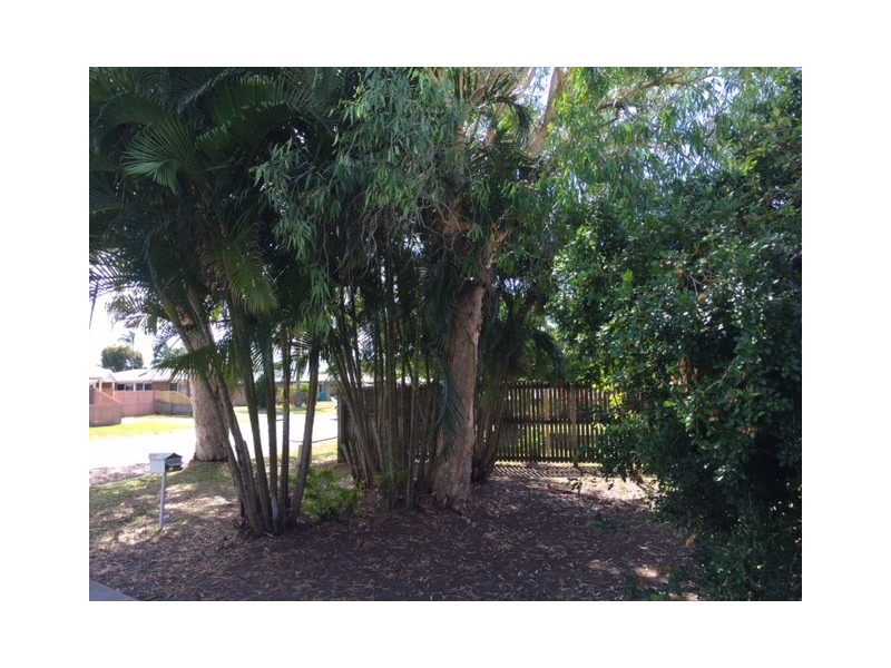 51 Napier Street, South Mackay QLD 4740