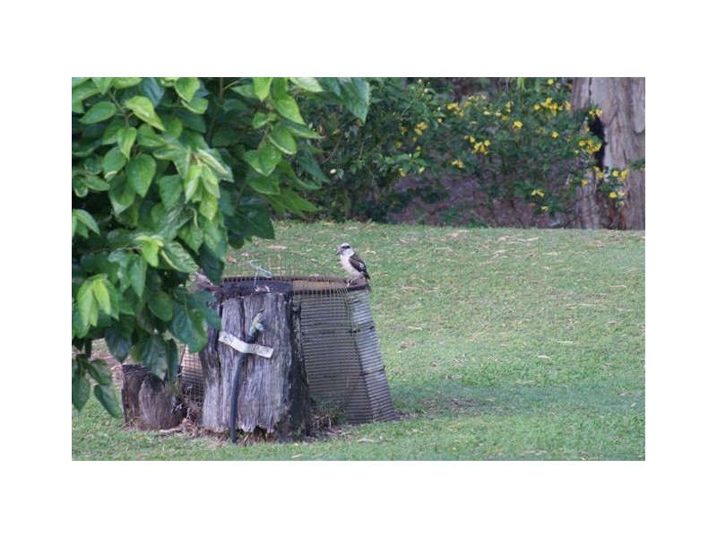 5 Buoro Street, Ball Bay QLD 4741