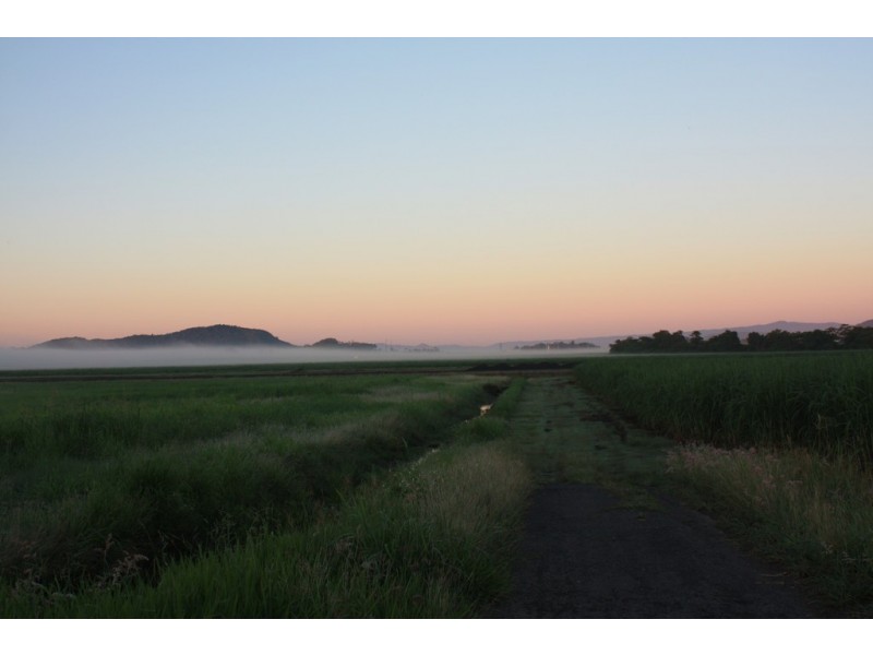 11 Kennedy Street, Walkerston QLD 4751