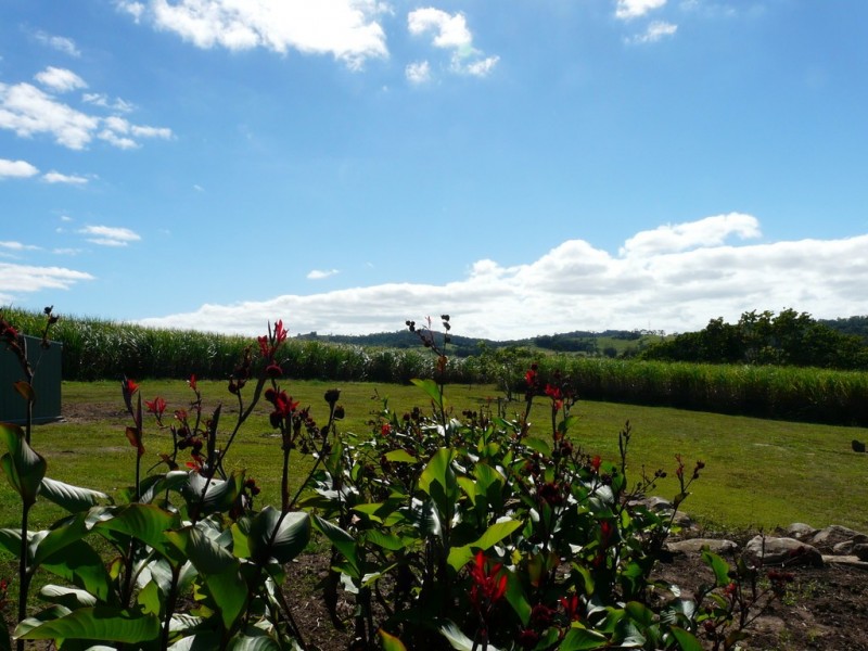 142 Miclere-Farleigh Road, Farleigh QLD 4741