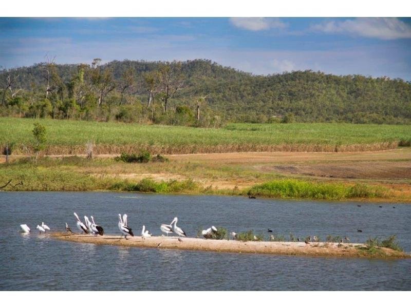 24 Said Road, Ball Bay QLD 4741