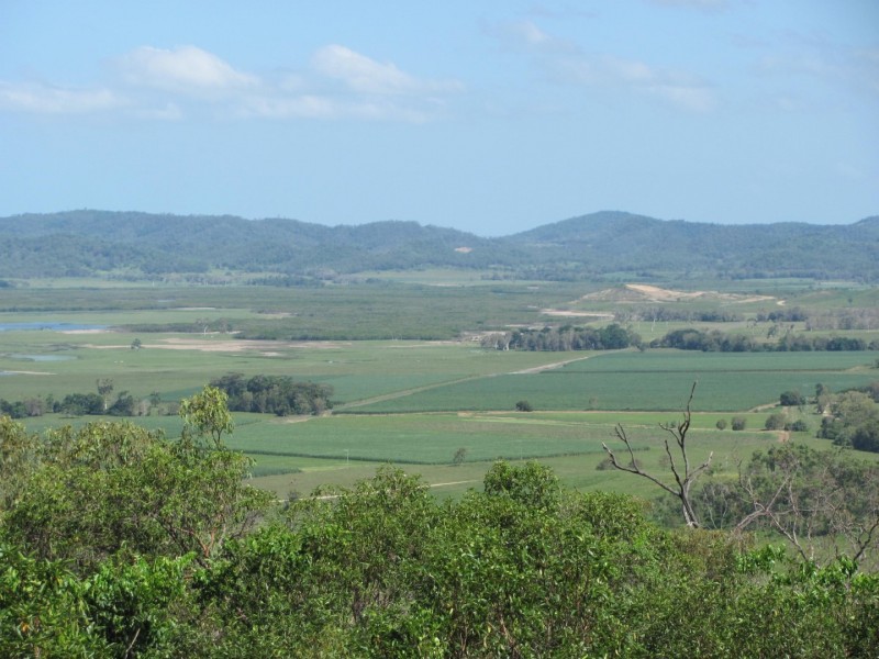 1574 Yakapari-Seaforth Rd, Mount Jukes QLD 4740