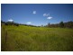 1574 Yakapari-Seaforth Rd, Mount Jukes QLD 4740
