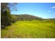 1574 Yakapari-Seaforth Rd, Mount Jukes QLD 4740