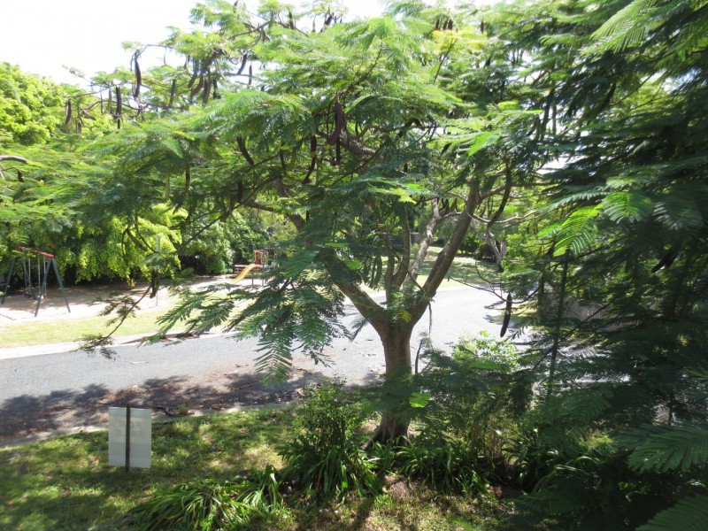 1 Grace Crescent, Slade Point QLD 4740