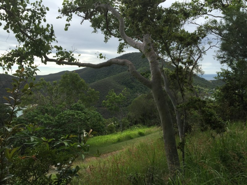 Lot DB Keswick Island, Mackay QLD 4740