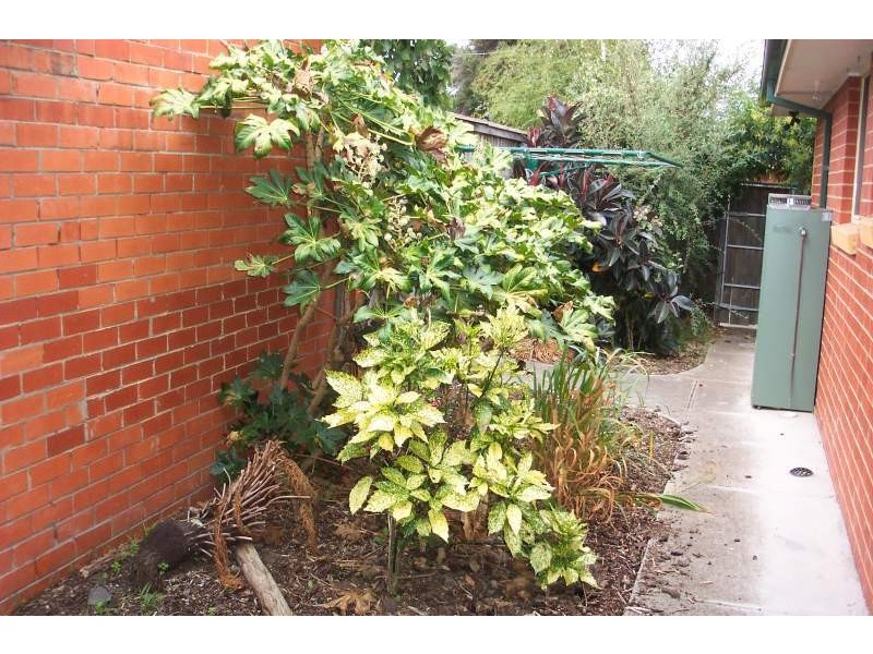 1/8A Etzel Street, Airport West VIC 3042