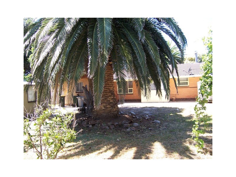 44 Croser Avenue, Aldinga Beach SA 5173
