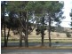 39 Peters Terrace, Mount Compass SA 5210