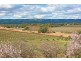 186 Branson Road, Tatachilla SA 5171