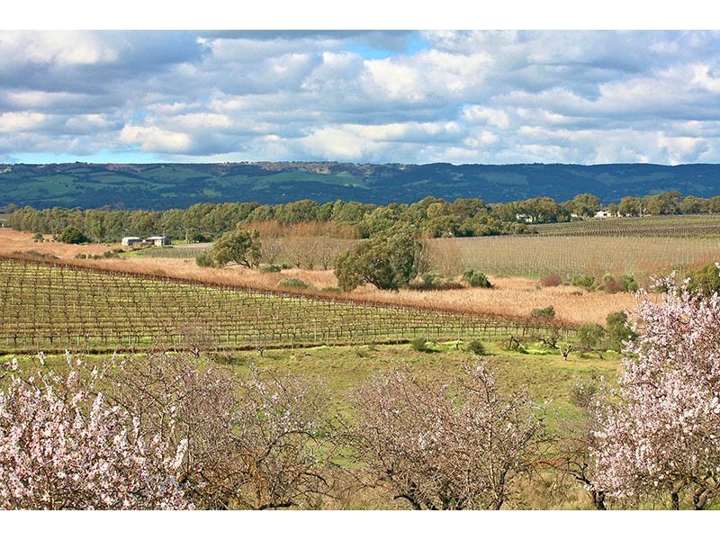 186 Branson Road, Tatachilla SA 5171