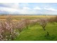 186 Branson Road, Tatachilla SA 5171