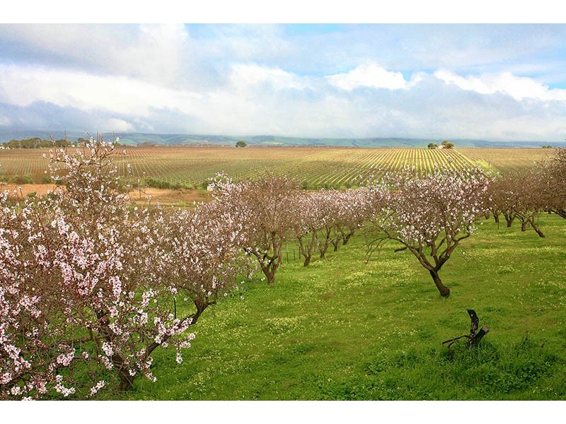 186 Branson Road, Tatachilla SA 5171