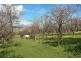 186 Branson Road, Tatachilla SA 5171