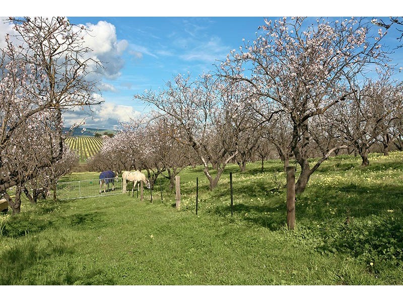 186 Branson Road, Tatachilla SA 5171