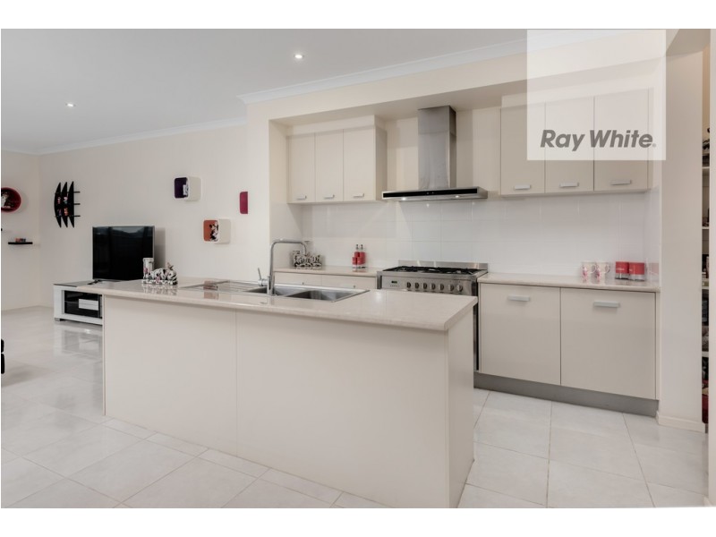20 Red Box Street, Coburg North VIC 3058