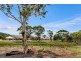 53 Applegum Drive, South Morang VIC 3752