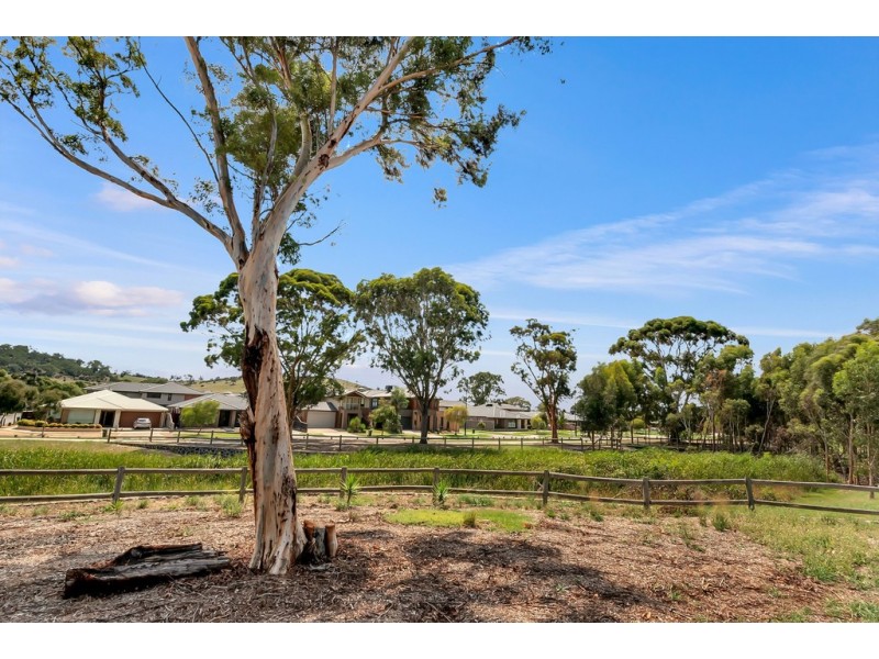53 Applegum Drive, South Morang VIC 3752