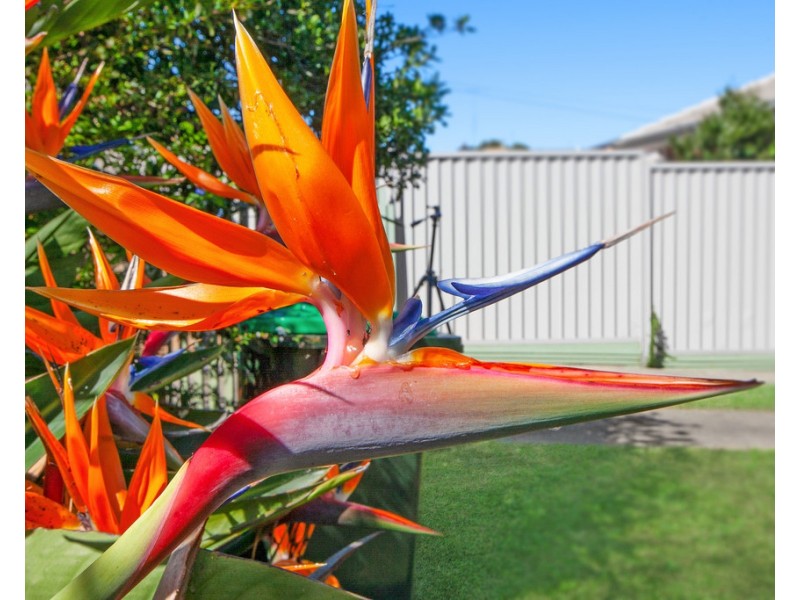 711 Gilbert Road, Reservoir VIC 3073