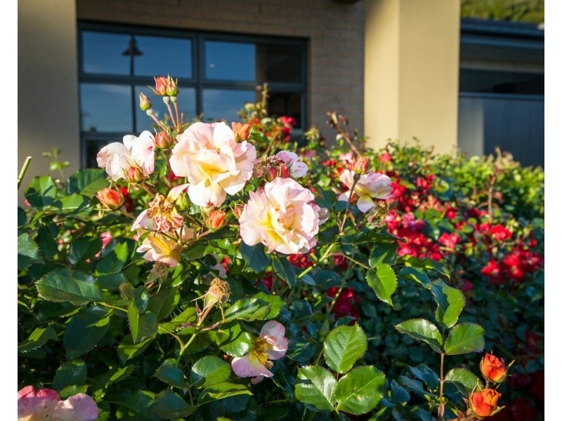 13 Wilton Vale Road, South Morang VIC 3752