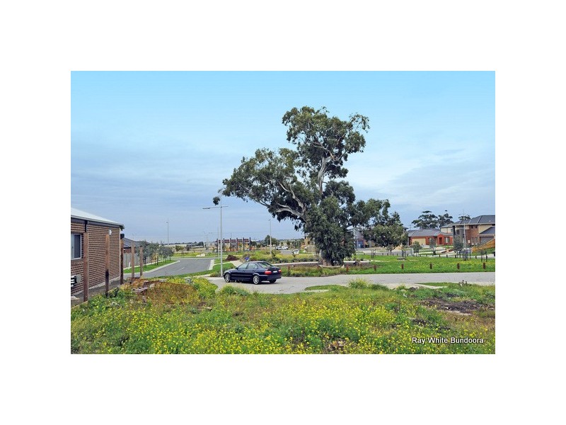 21 Ambrosia Close, Epping VIC 3076