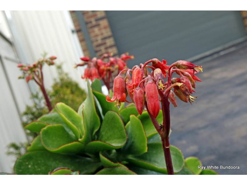 45 Gellibrand Crescent, Reservoir VIC 3073