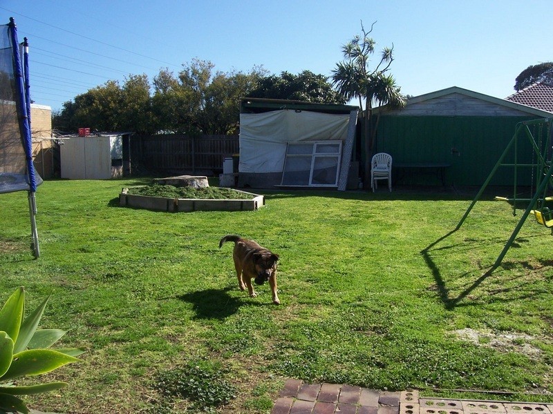 20 Olympic Street, Bundoora VIC 3083