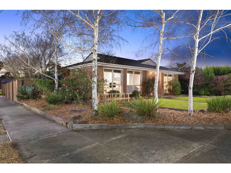 8 Japonica Street, Bundoora VIC 3083