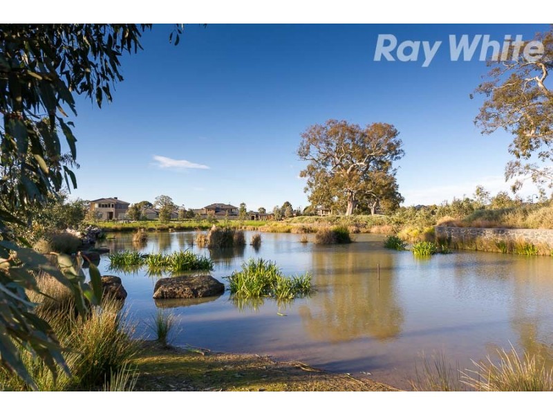 22 Bedervale Loop, Doreen VIC 3754