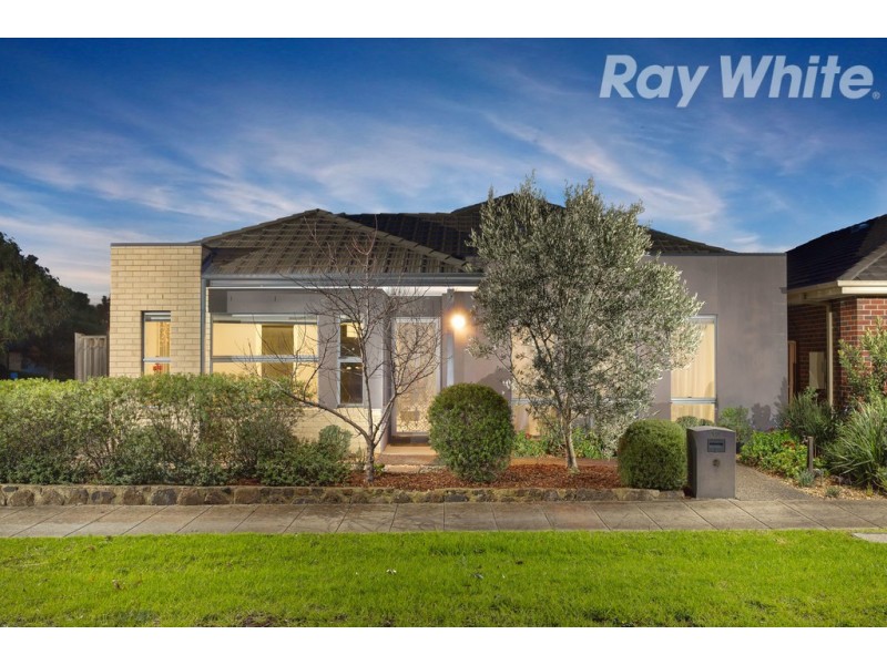 12 Broxburn Walk, Epping VIC 3076