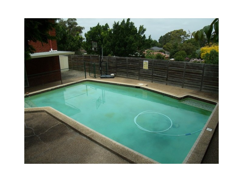 56 Farnell Street, West Ryde NSW 2114