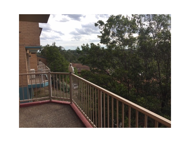 38/102 Crimea Road, Marsfield NSW 2122