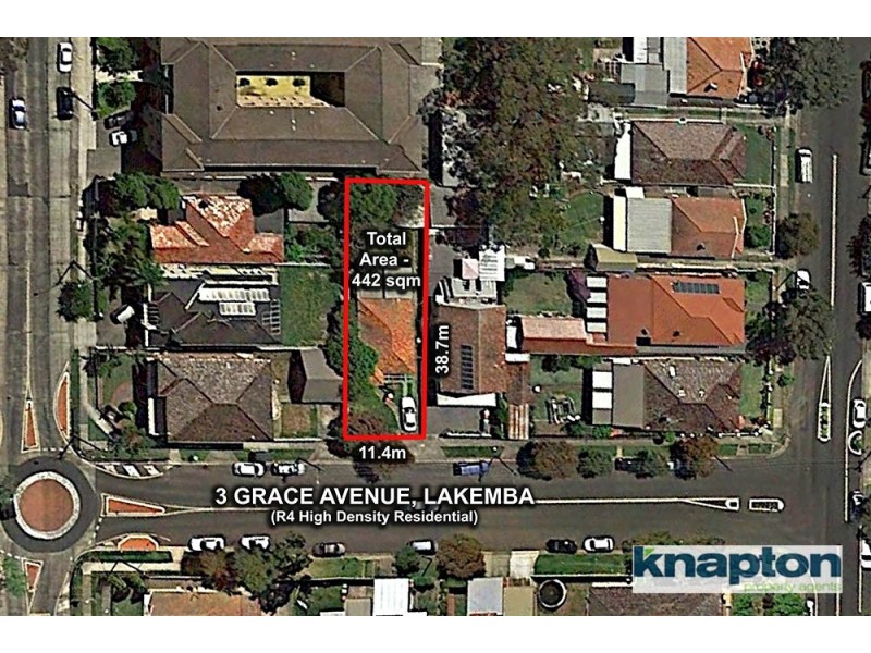 3 Grace Avenue, Lakemba NSW 2195