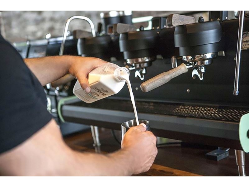 116 Dudley Street, Punchbowl NSW 2196