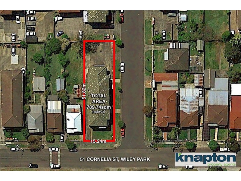 51 Cornelia Street, Wiley Park NSW 2195