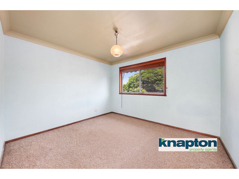 99 Mount Lewis Avenue, Punchbowl NSW 2196