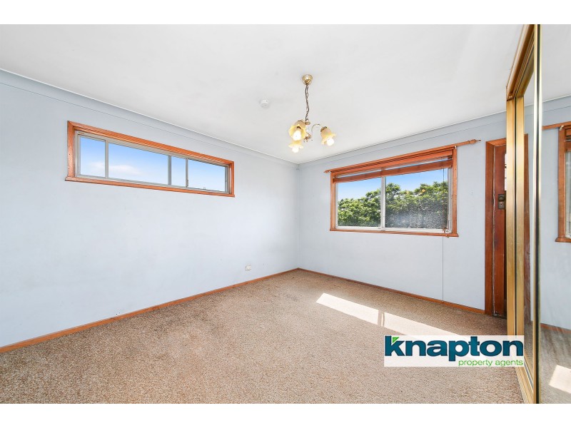 99 Mount Lewis Avenue, Punchbowl NSW 2196