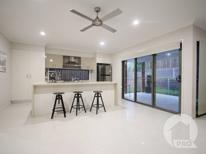 19 Ascent Street, Rochedale QLD 4123