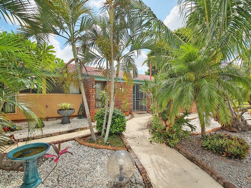 17 Orpheus Street, Robertson QLD 4109