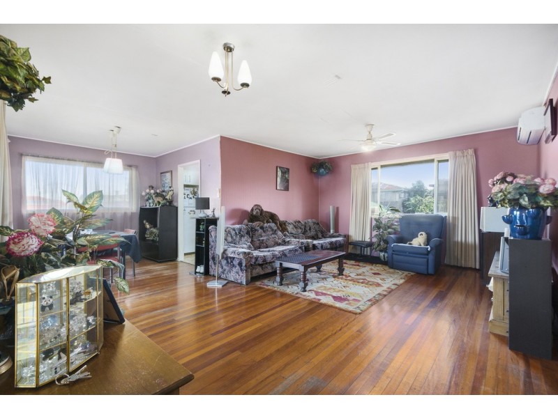 19 Angelina Street, Macgregor QLD 4109